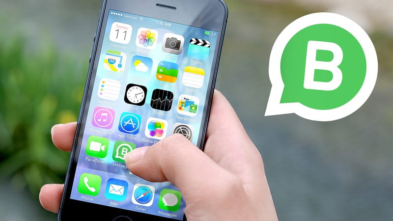 WhatsApp voor je bedrijf?